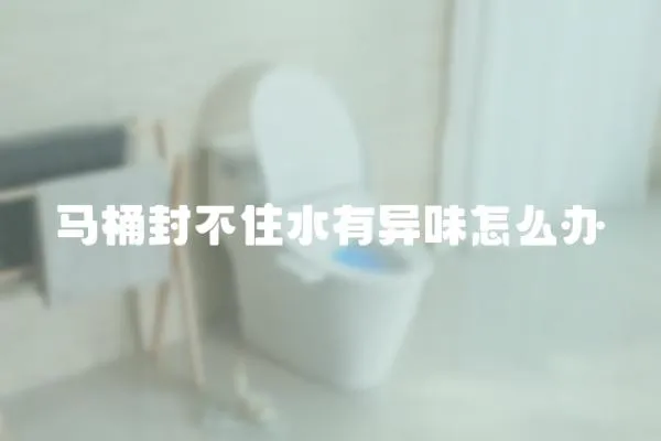 馬桶封不住水有異味怎么辦