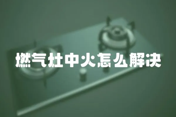 燃?xì)庠钪谢鹪趺唇鉀Q