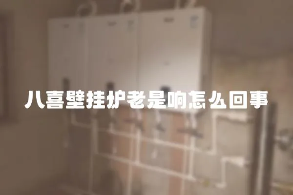 八喜壁掛爐老是響怎么回事