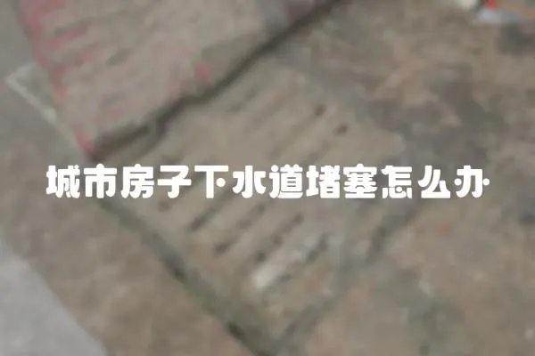 城市房子下水道堵塞怎么辦