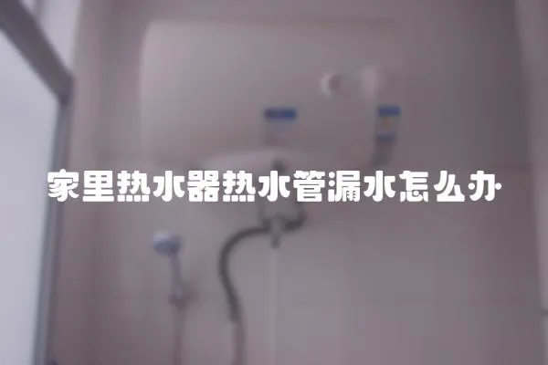 家里熱水器熱水管漏水怎么辦