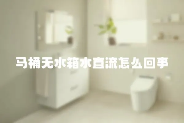 馬桶無水箱水直流怎么回事
