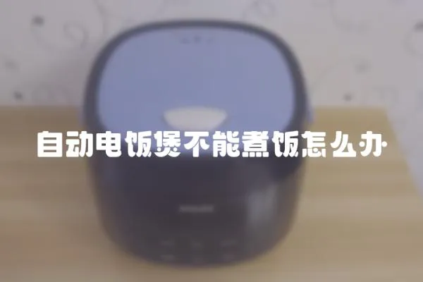 自動電飯煲不能煮飯怎么辦