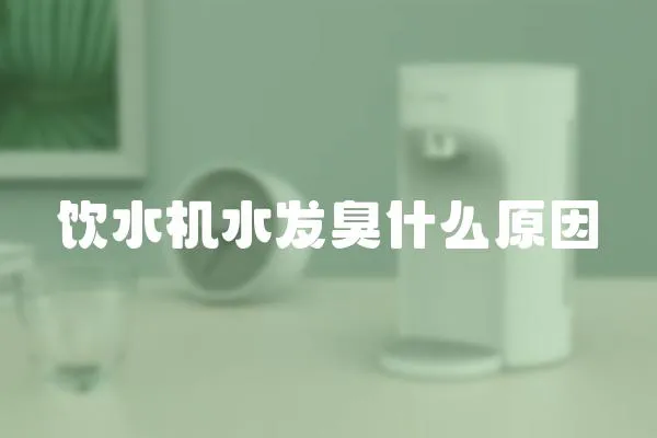 飲水機水發臭什么原因