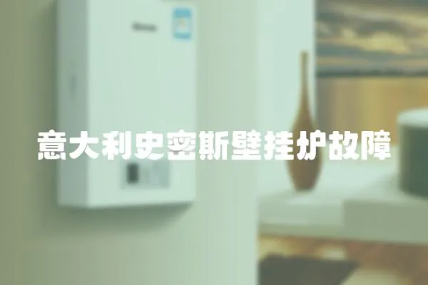 意大利史密斯壁掛爐故障