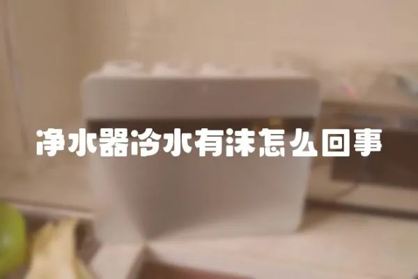 凈水器冷水有沫怎么回事