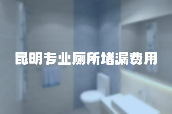 昆明專業廁所堵漏費用