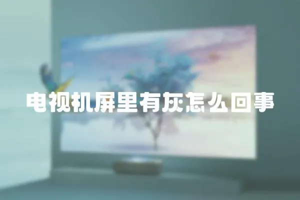 電視機屏里有灰怎么回事