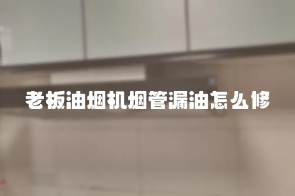 老板油煙機煙管漏油怎么修