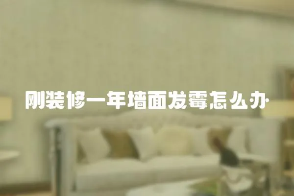剛裝修一年墻面發霉怎么辦