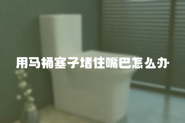 用馬桶塞子堵住嘴巴怎么辦