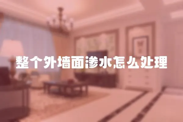 整個外墻面滲水怎么處理