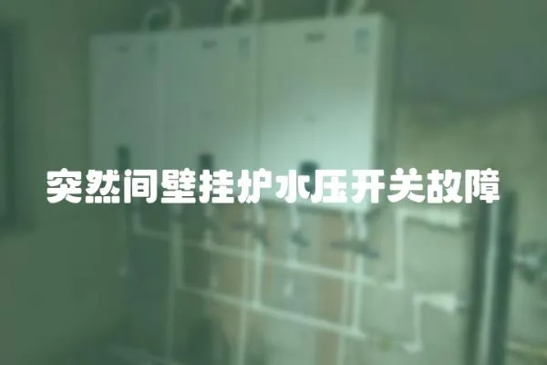 突然間壁掛爐水壓開關故障