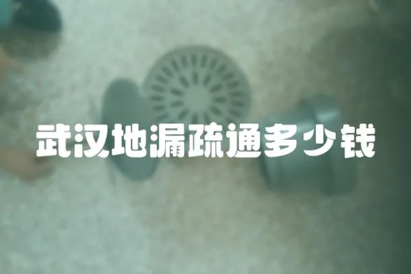 武漢地漏疏通多少錢