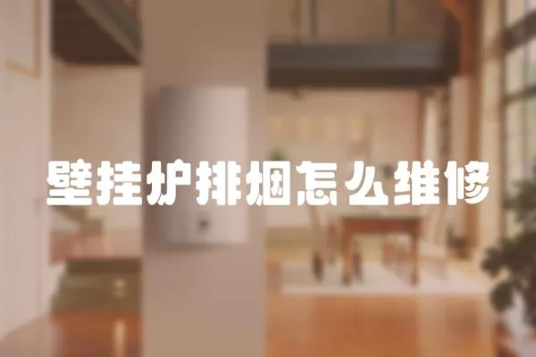 壁掛爐排煙怎么維修