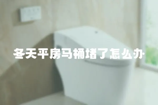 冬天平房马桶堵了怎么办