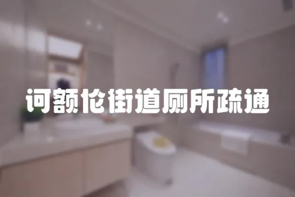 訶額倫街道廁所疏通