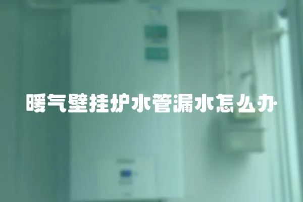 暖氣壁掛爐水管漏水怎么辦