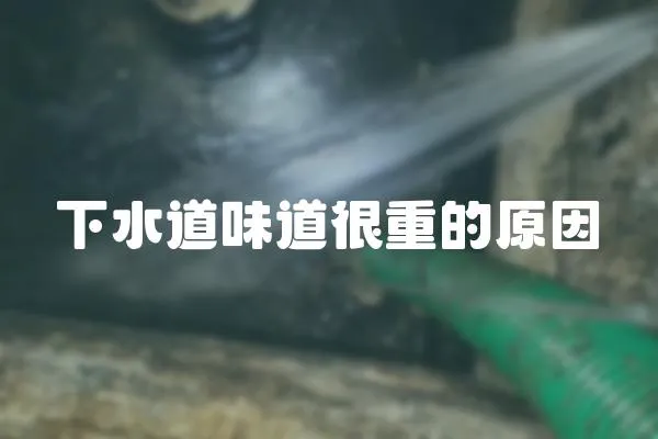 下水道味道很重的原因