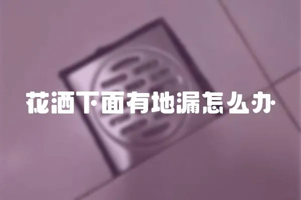 花灑下面有地漏怎么辦