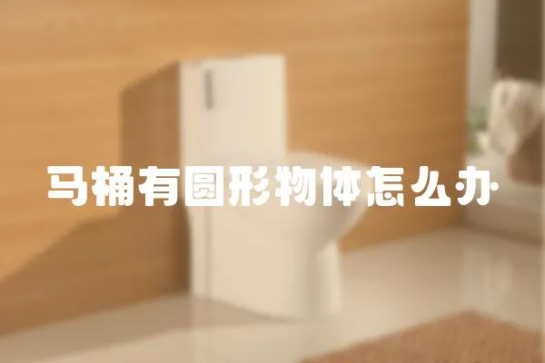 馬桶有圓形物體怎么辦