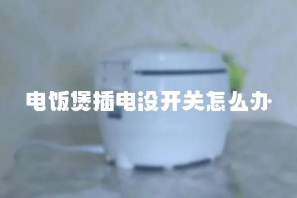 電飯煲插電沒開關怎么辦