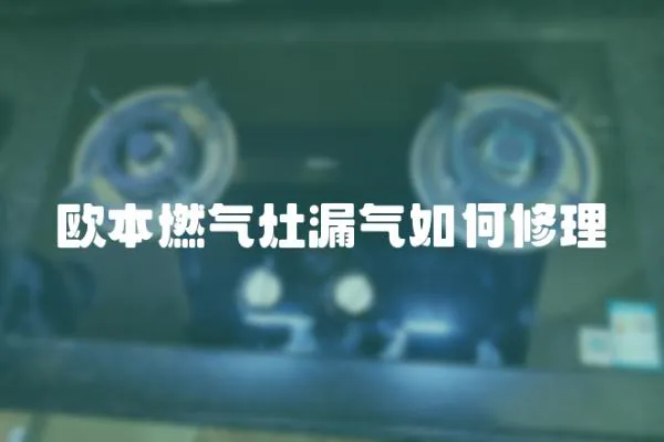 歐本燃?xì)庠盥馊绾涡蘩? loading=