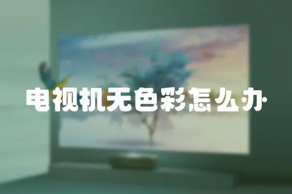 電視機(jī)無色彩怎么辦