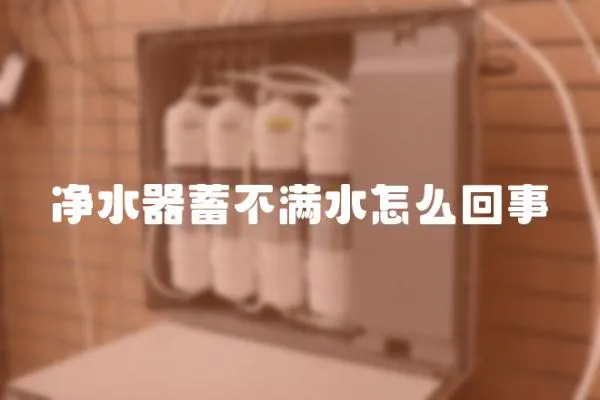 凈水器蓄不滿水怎么回事