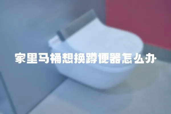 家里馬桶想換蹲便器怎么辦