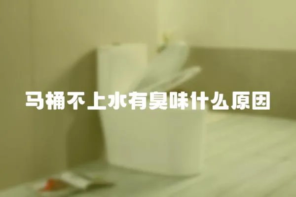 馬桶不上水有臭味什么原因