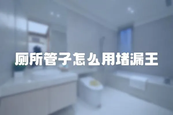 廁所管子怎么用堵漏王