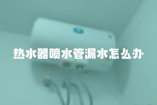 熱水器噴水管漏水怎么辦