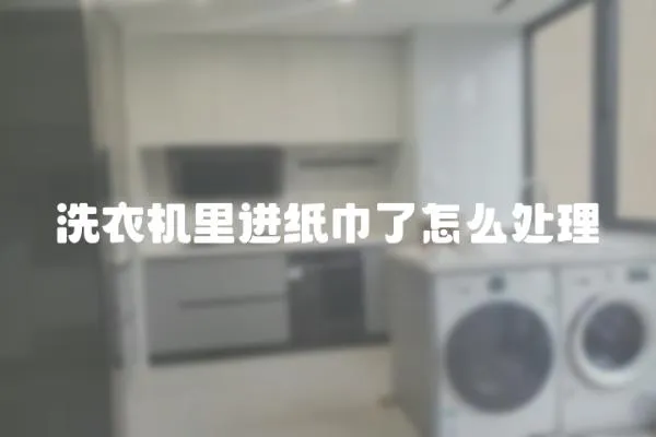 洗衣機里進紙巾了怎么處理