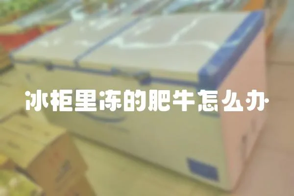 冰柜里凍的肥牛怎么辦