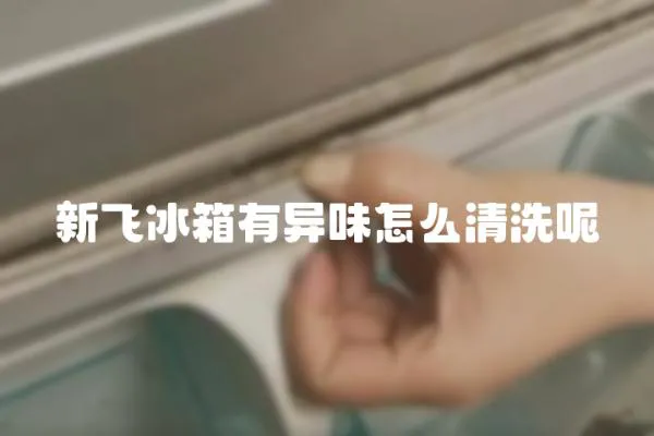 新飛冰箱有異味怎么清洗呢