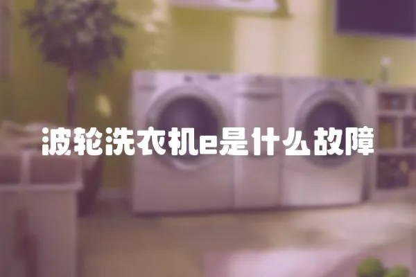 波輪洗衣機(jī)e是什么故障
