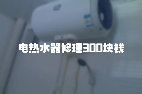電熱水器修理300塊錢