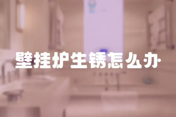 壁掛爐生銹怎么辦