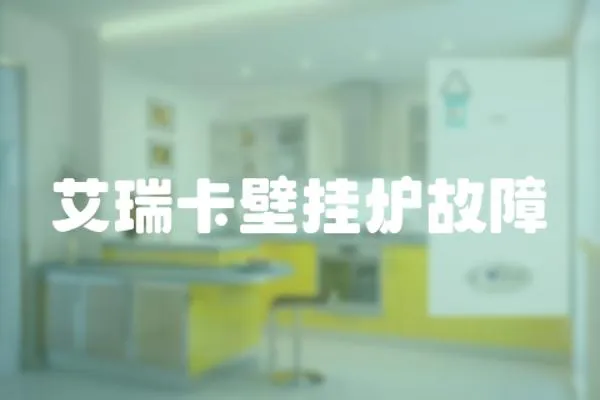 艾瑞卡壁掛爐故障