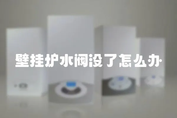 壁掛爐水閥沒了怎么辦