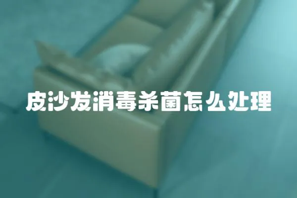 皮沙發(fā)消毒殺菌怎么處理