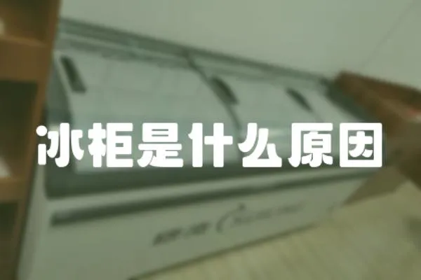 冰柜是什么原因
