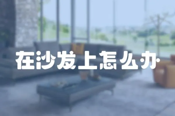 在沙發上怎么辦