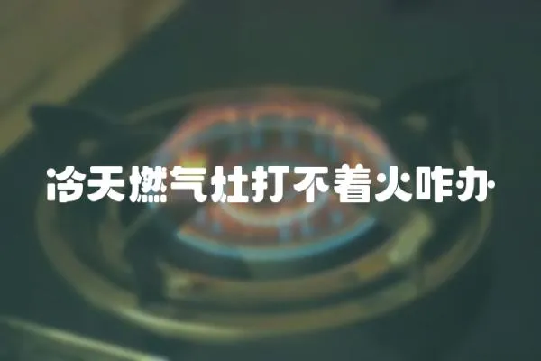 冷天燃?xì)庠畲虿恢鹫k