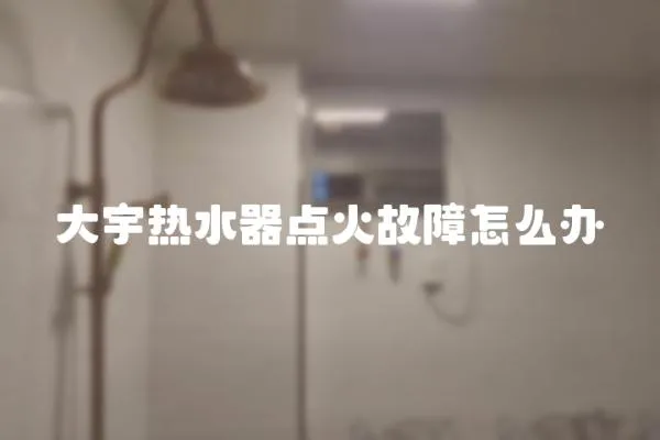 大宇熱水器點火故障怎么辦