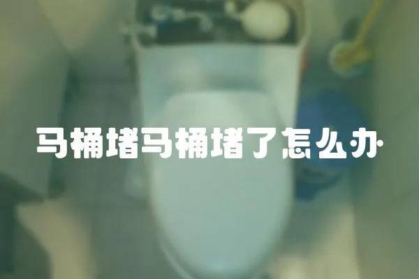 馬桶堵馬桶堵了怎么辦