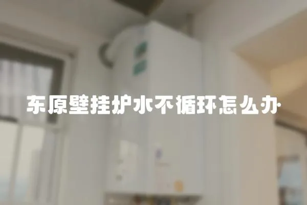 東原壁掛爐水不循環(huán)怎么辦
