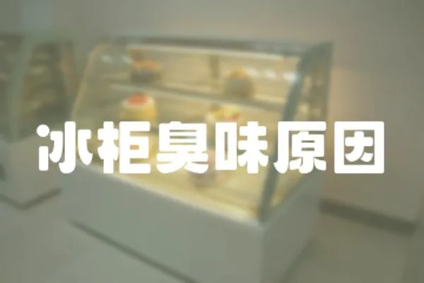 冰柜臭味原因