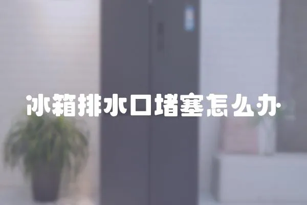 冰箱排水口堵塞怎么辦